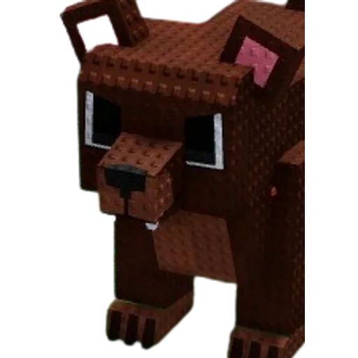 Bear pet image