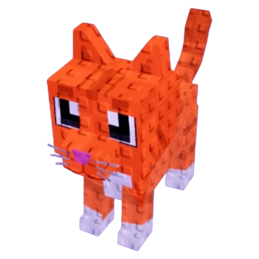 Cat pet image