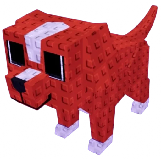 Dog pet image