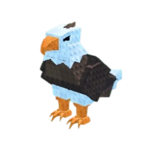 Eagle pet image