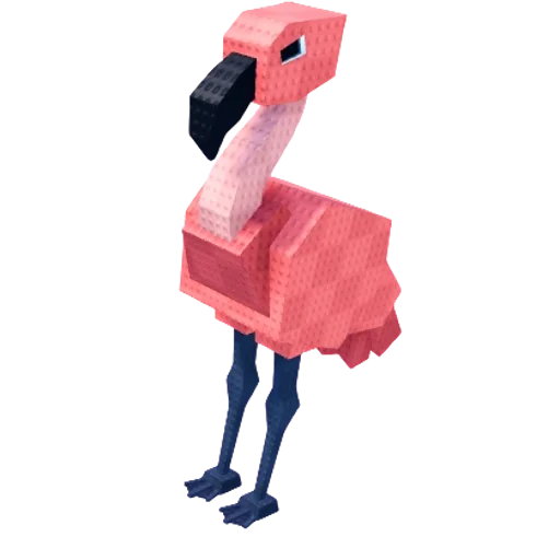 Flamingo pet image