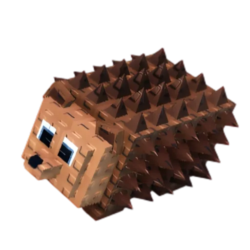 Hedgehog pet image