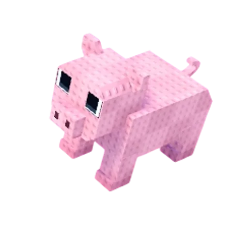 Pig pet image