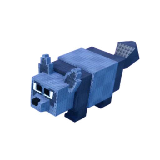 Raccoon pet image