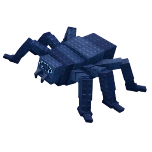 Spider pet image